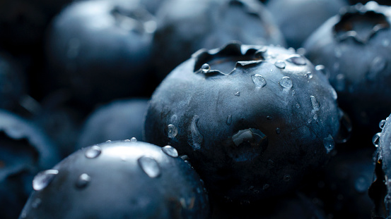 Organic wild blueberries on dark wooden background.