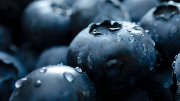 Blueberry berry background. Macro. Fresh blueberry background. Water drops on ripe blueberries. Background from freshly picked blueberries, close-up. Blue berries of blueberry close-up, macro. Blueberry berry background. Macro. Fresh blueberry background. Water drops on ripe blueberries. Background from freshly picked blueberries, close-up. Blue berries of blueberry close-up, macro antioxidant photos stock pictures, royalty-free photos & images