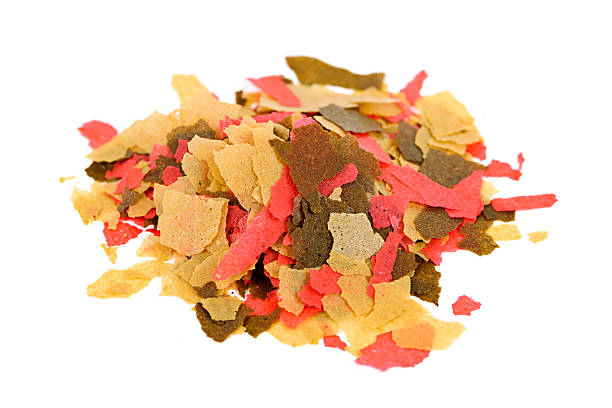 istock Aquarium fish food 133426867