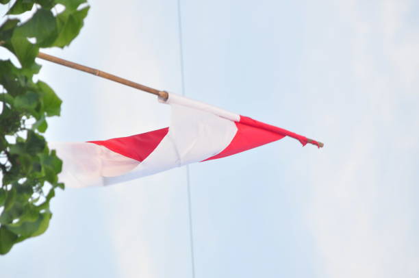 istock Flying indonesian flag 1334273850
