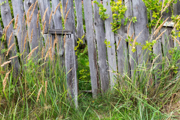 istock Old wooden fence overgrown with grass 1334273905