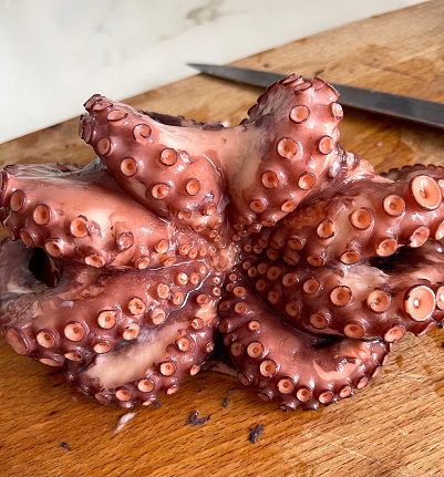 close-up of fresh octopus on wooden table