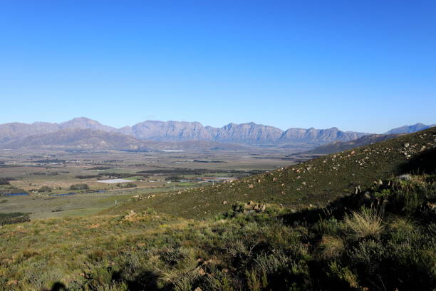 istock A panoramic view over the Breede River Valley 1334274752