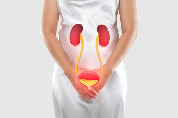 Urethritis Women having urethritis and Urinary Incontinence. Female with hands holding her crotch bladder cancer stock pictures, royalty-free photos & images