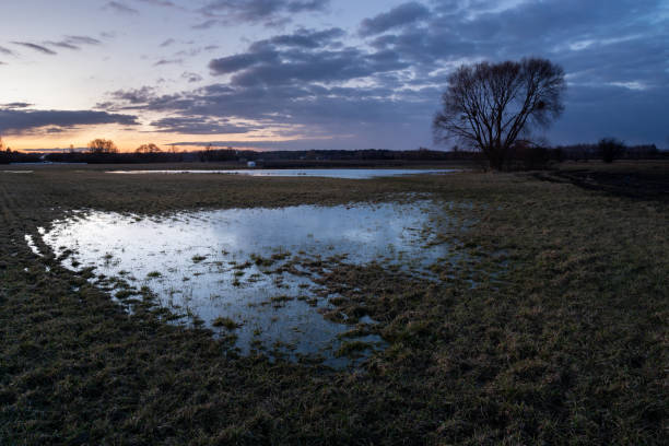 istock Water in the meadow and the evening sky 1334275411