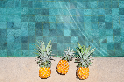 Three ripe pineapples by the pool. Flat lay by the pool