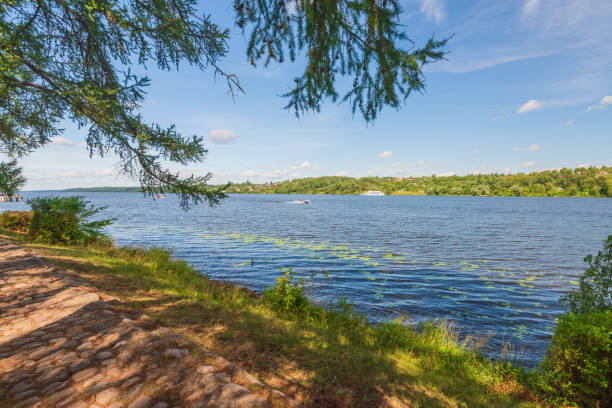 istock Volga river in Ivanovo region, Russian Federation 1334278037