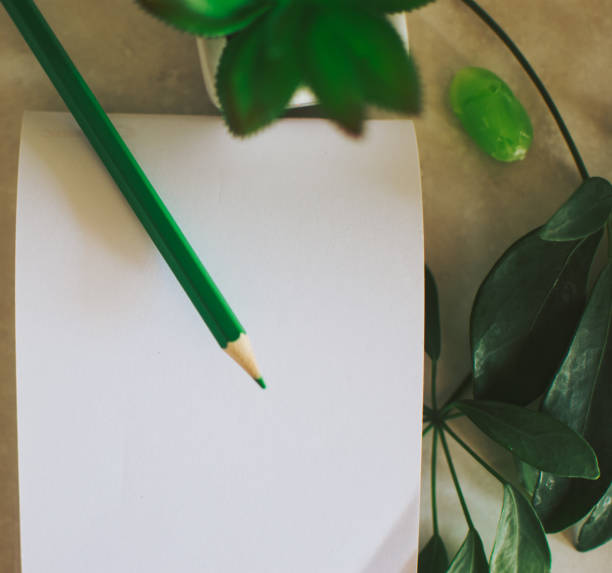 istock Notepad with pencil and green leaves 1334278067