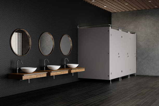 トイレ、鏡、白いシンクが備わった豪華な公衆トイレのサイドビュー - bathroom contemporary office sparse ストックフォトと画像