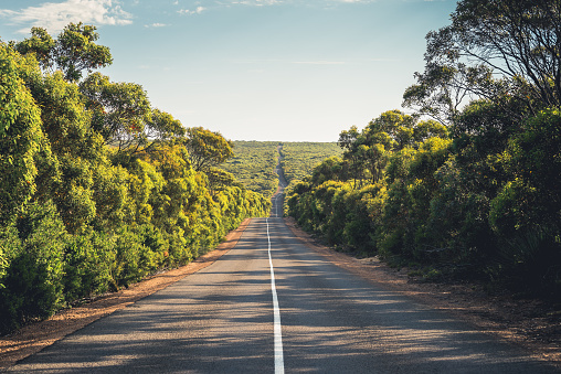 Long winding Cape du Couedic Road on Kangaroo Island through bushland and gumtrees, Flinders Chase National Park, South Australia