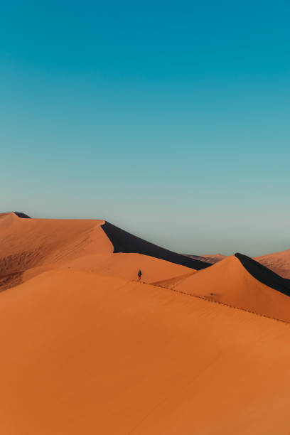 Woman traveler enjoying the scenic sunset on the sand dunes in Namibia stock photo