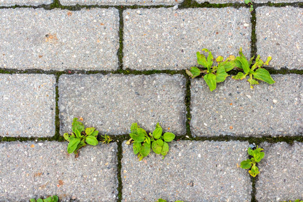 fond de pavés abstraits - paving stone cobblestone road old photos et images de collection
