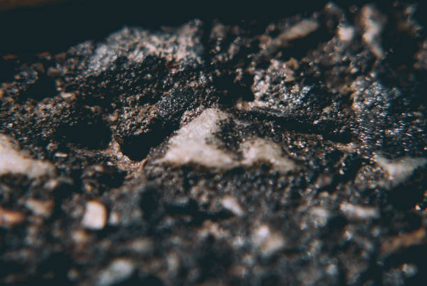 istock close up of wet wheat 1334288591
