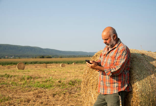 istock On the field at harvest 1334290053