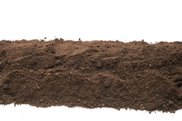 istock Black land for plant isolated on white background. Frame. 1334291044