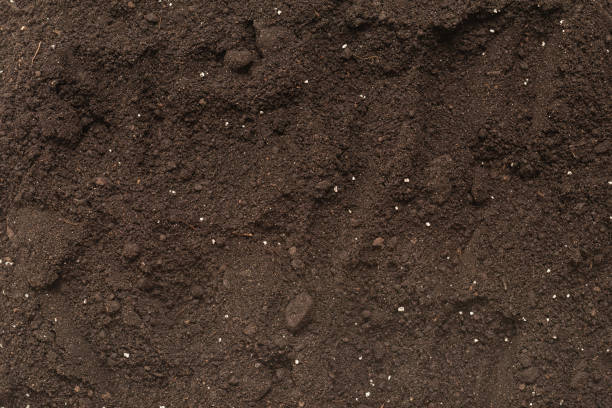 istock Black land for plant background. Top view. 1334291078