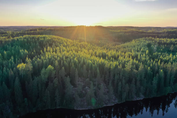 Photo of Finland lake nature beautiful sunset arial view