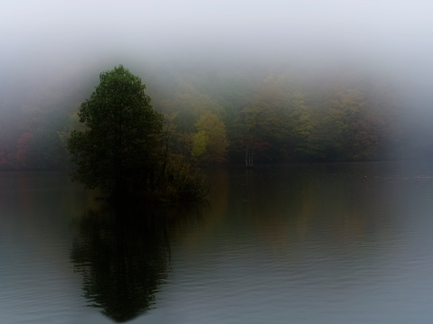 A misterious lake with mist surronded by trees in autumn.