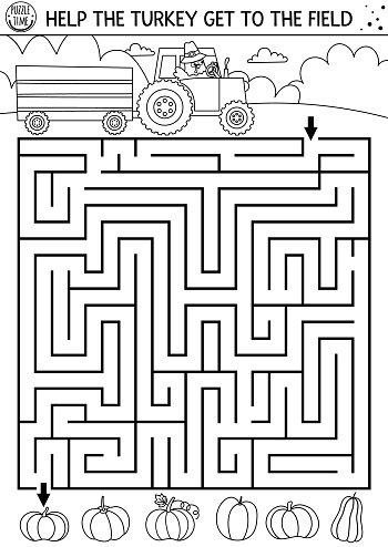 Thanksgiving Day black and white maze for children. Autumn holiday line printable activity. Fall outline labyrinth game or puzzle with cute bird driving a tractor. Help turkey get to the field