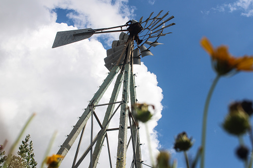 A windmill on a cloudy day as seen from the ground with yellow flowers
