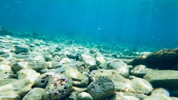 istock Adriatic coastline underwater with light rays shining on the sea bottom 1334304276