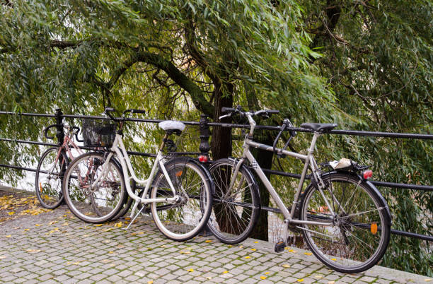 istock Several bicycles in profile, locked on a fence. Bicycle parking in a public park. 1334304734