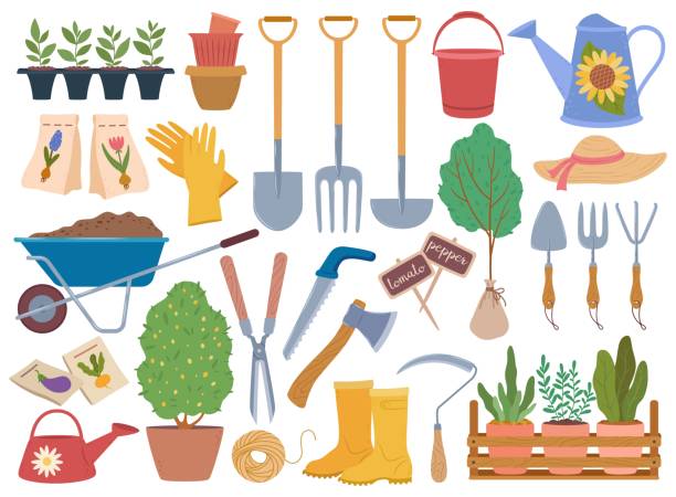 ilustraciones, imágenes clip art, dibujos animados e iconos de stock de herramientas de jardinería, equipos de jardinería de primavera y plantas jóvenes. lata de riego, guantes, carretilla con tierra. conjunto vectorial de elementos hortícolas - trowel watering can dirt shovel