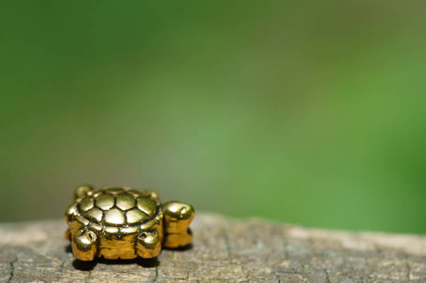 A small figurine of a metal turtle. An esoteric symbol.