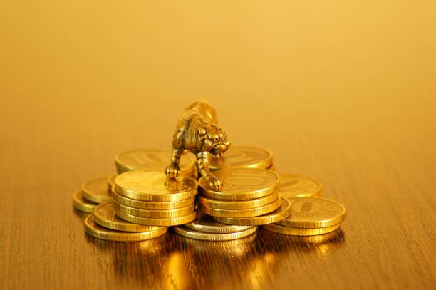 istock Metal tiger with coins close-up on the table. 1334309673