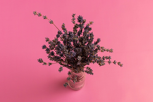 Bunch of dried lavender flowers in a glass vase on pink background.