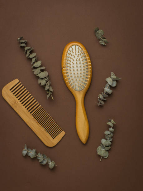 istock Two wooden combs and sprigs of eucalyptus on a brown background. 1334317096