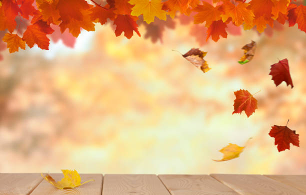 istock Autumn background with wooden tabletop and maple leaves 1334319419
