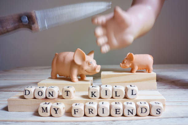 Toy man's hand stops knife raised above toy pigs and inscription "Don't kill my friends" Toy man's hand stops knife raised above toy pigs and inscription "Don't kill my friends". Vegetarianism, healthy eating, animal welfare concept dont eat meat stock pictures, royalty-free photos & images
