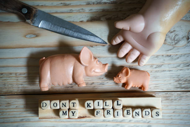 Toy man's hand stops knife raised above toy pigs and inscription "Don't kill my friends" Toy man's hand stops knife raised above toy pigs and inscription "Don't kill my friends". Vegetarianism, healthy eating, animal welfare concept dont eat meat stock pictures, royalty-free photos & images