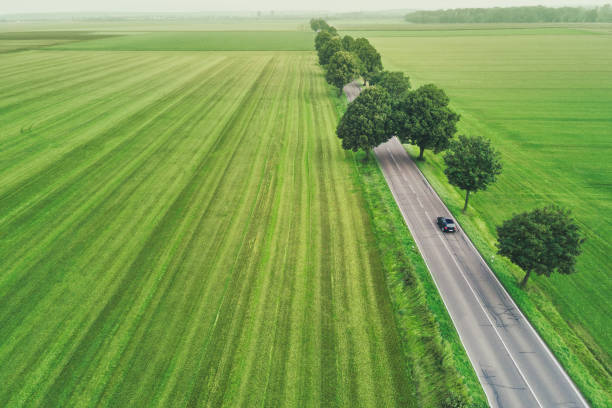 Aerial View of an Electric Vehicle on a Tree Covered Road in a Green Landscape High angle view of a black electric car in a green landscape, the road disappearing on the horizon and the car visible underneath trees. alternative fuel vehicle stock pictures, royalty-free photos & images