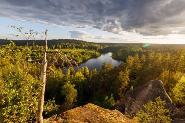 istock Beautiful autumn landscape with lake. 1334324622