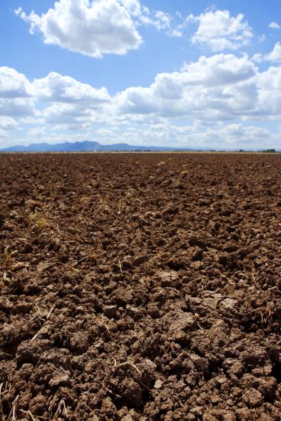 istock plough plowed brown clay field blue sky horizon 1334325686