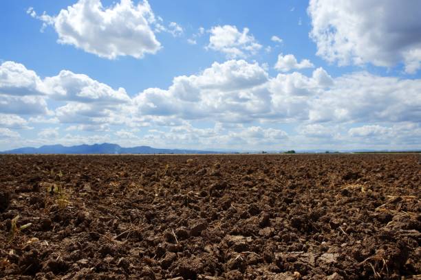 istock plough plowed brown clay field blue sky horizon 1334325724