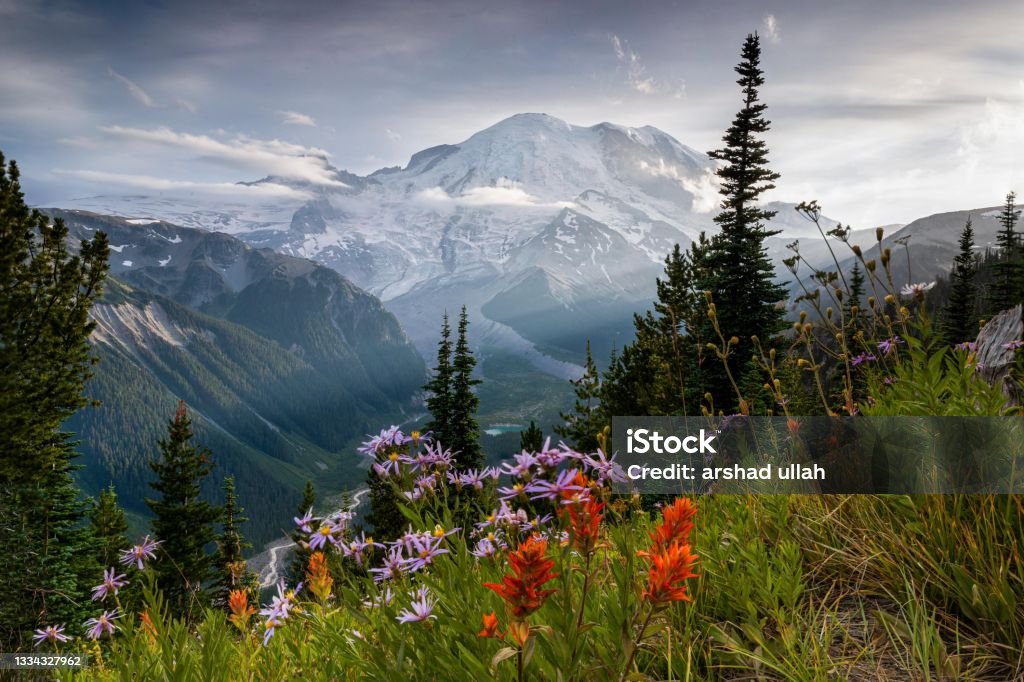 Mount Rainier Mount Rainier Beautiful picture Washington State Stock Photo