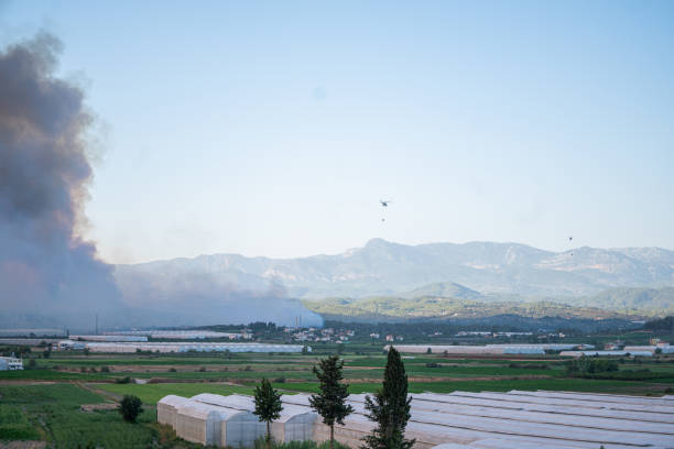 istock Helicopter dropping water on forest fire in Manavgat Turkey 1334328450