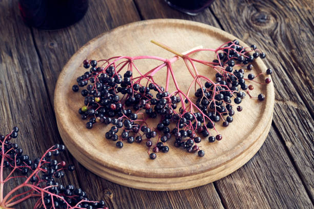 istock Fresh black elder berries on a rustic table - healthy wild fruit 1334330075