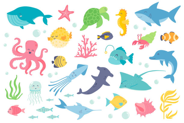 수중 동물과 물고기 고립 된 개체 세트. 고래, 불가사리, 거북이, 해마, 상어, 문어, 해파리, 돌고래, 산호의 컬렉션. 플랫 만화의 디자인 요소의 벡터 일러스트레이션 - anglerfish stock illustrations