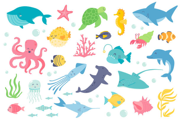 ilustrações de stock, clip art, desenhos animados e ícones de underwater animal and fishes isolated objects set. collection of whale, starfish, turtle, seahorse, shark, octopus, jellyfish, dolphin, coral. vector illustration of design elements in flat cartoon - anglerfish