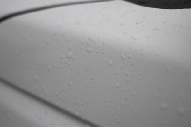 istock Raindrops on white car body after rain 1334330286