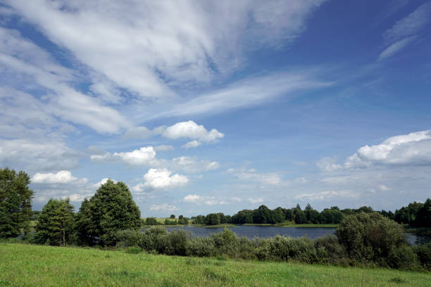 istock Rural landscape. Fields, forests and a lake. White clouds. Blue sky. Windy day in August 1334333728