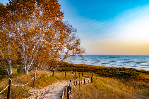 A beautiful path leads the way past the bright orange trees down to Lake Michigan in Wisconsin. This photo was taken at Kohler-Andrae State park.