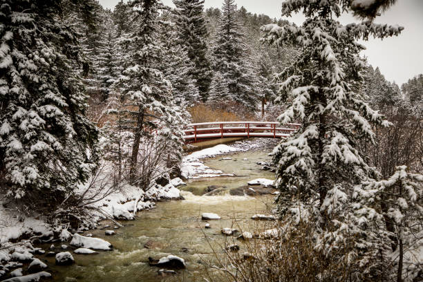 neve em uma ponte - bailey - fotografias e filmes do acervo