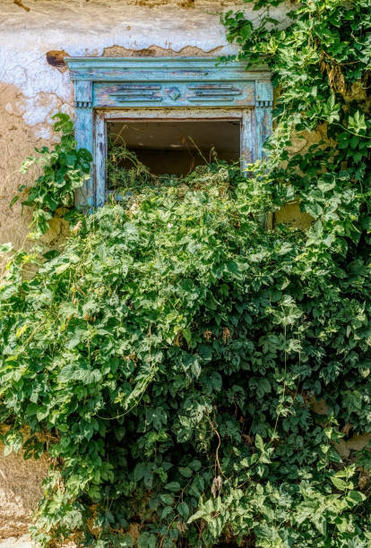 istock Shattered window of an old broken adobe house 1334338753