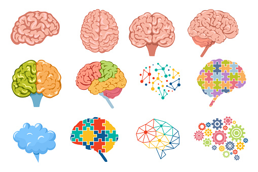 Set of Icons Human Brain, Neurology, Anatomy Science Elements. Body Organ Front, Top and Side View with Convolutions and Lobes, Colorful Puzzle Pieces and Polygonal Shapes. Cartoon Vector Illustration