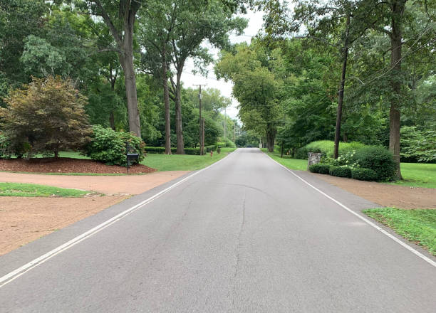 istock Suburban Neighborhood 1334341043
